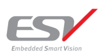 ESV Co.,Ltd.